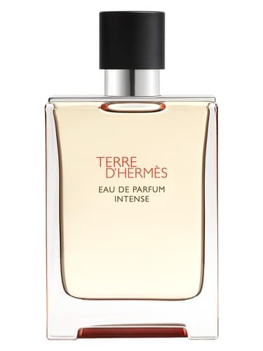 HERMES TERRE D HERMES INTENSE