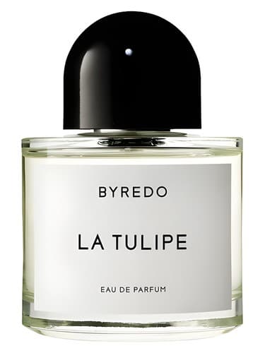 BYREDO LA TULIPE