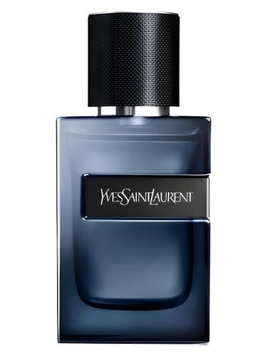 YSL Y ELIXIR